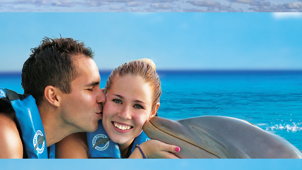 Dolphin Discovery St. Maarten / St. Martin