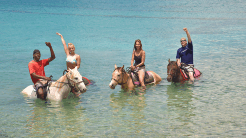 tourists on a tour with seaside nature park. The tourists are sitting on a horse in the water