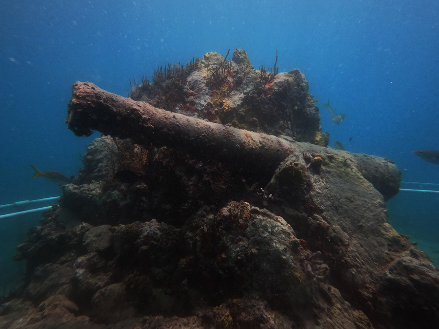 AQUA MANIA’S SCUBA SHOP DIVE ADVENTURES St. Maarten / St. Martin