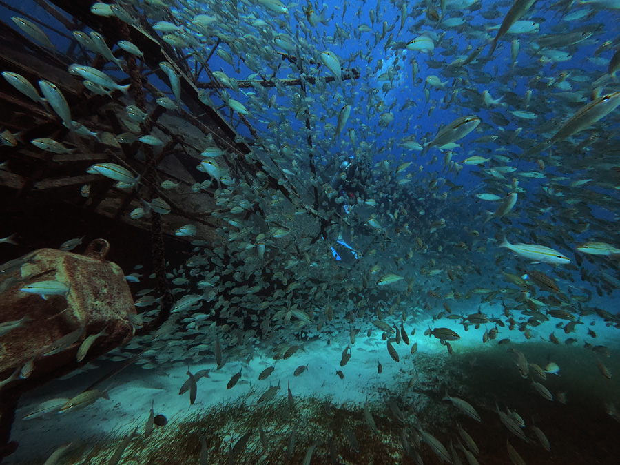 AQUA MANIA’S SCUBA SHOP DIVE ADVENTURES St. Maarten / St. Martin