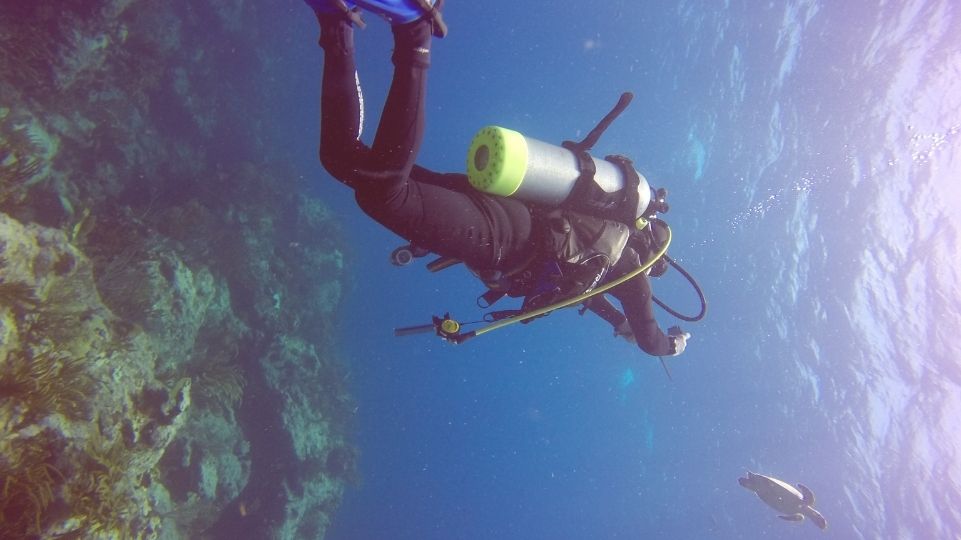 Scooba diving, st maarten