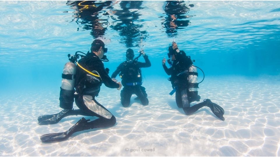 A group of divers kneeld on the sea bottom of the ocean at St Maarten