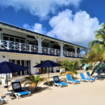 View of Horny Toad beach side, beach chairs and large palm trees