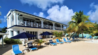 View of Horny Toad beach side, beach chairs and large palm trees