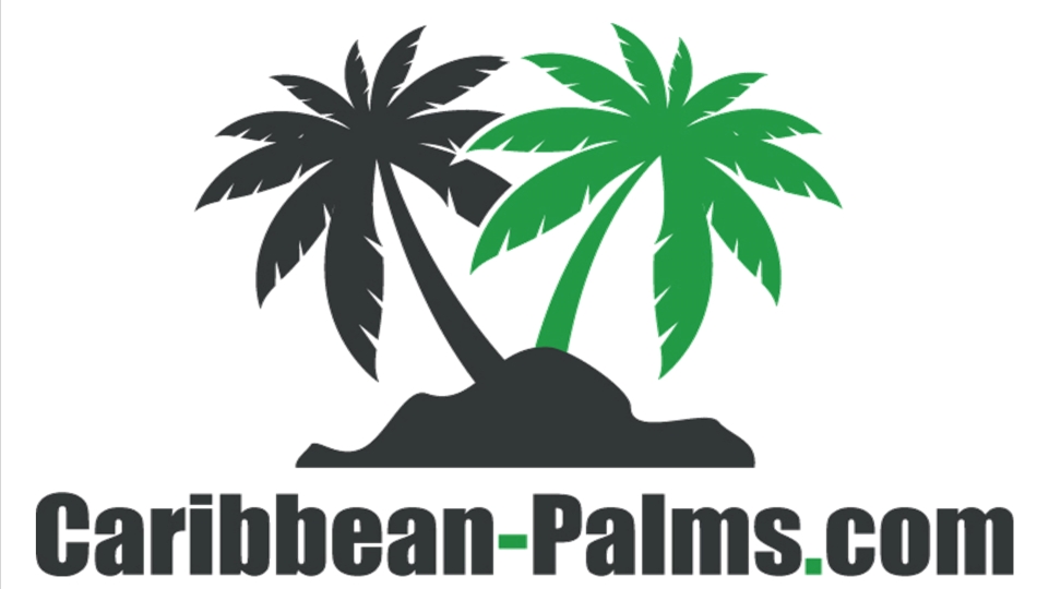 Palm Trees of the Caribbean logo St Maarten / St Martin