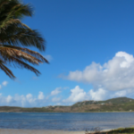Le Galion beach on the French side of St Martin with palm tree, green hills and blue sea