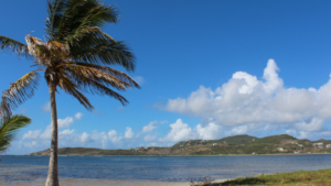 Le Galion beach on the French side of St Martin with palm tree, green hills and blue sea