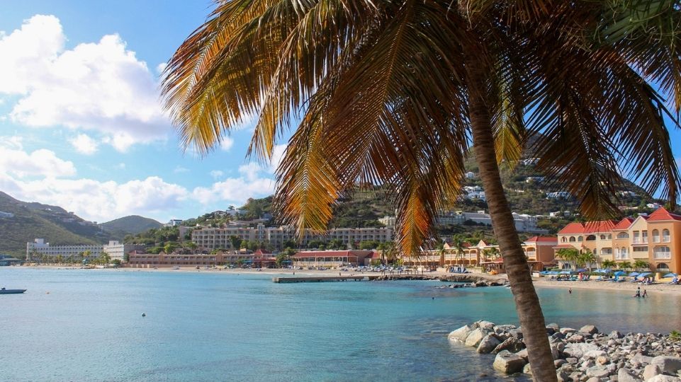 View of Little Bay St Maarten with palm tree, Divi Hotel and Bel Air Beach