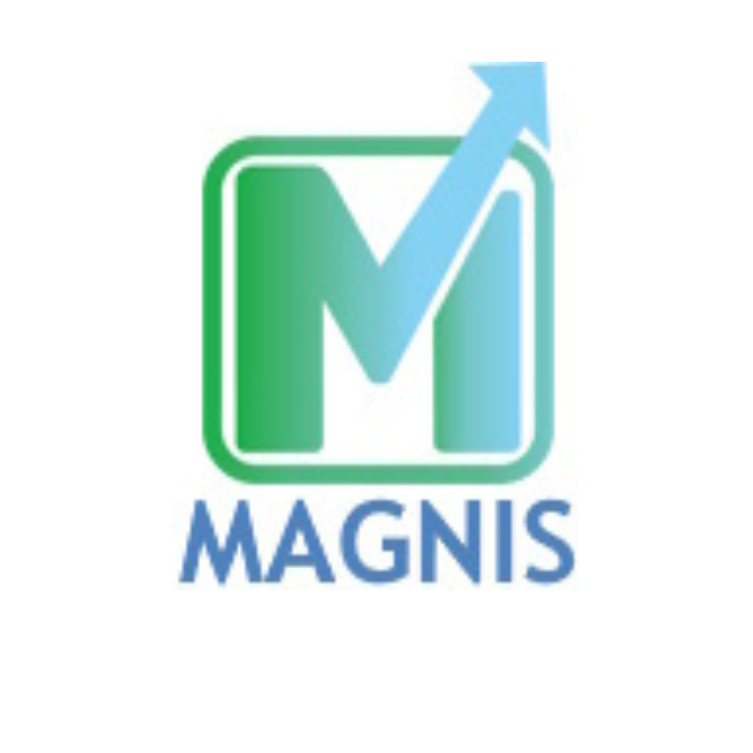 Magnis NV accounting and business consultant