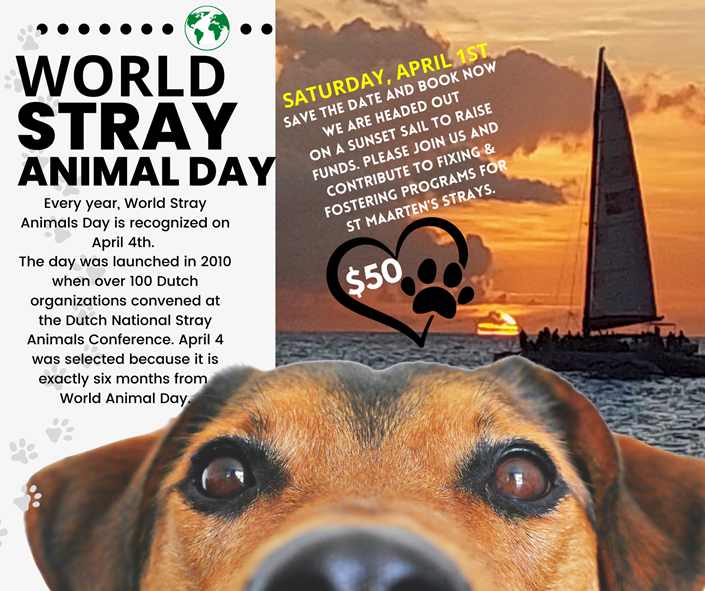 WORLD STRAY ANIMAL DAY ON APRIL 4TH | St. Maarten / St. Martin