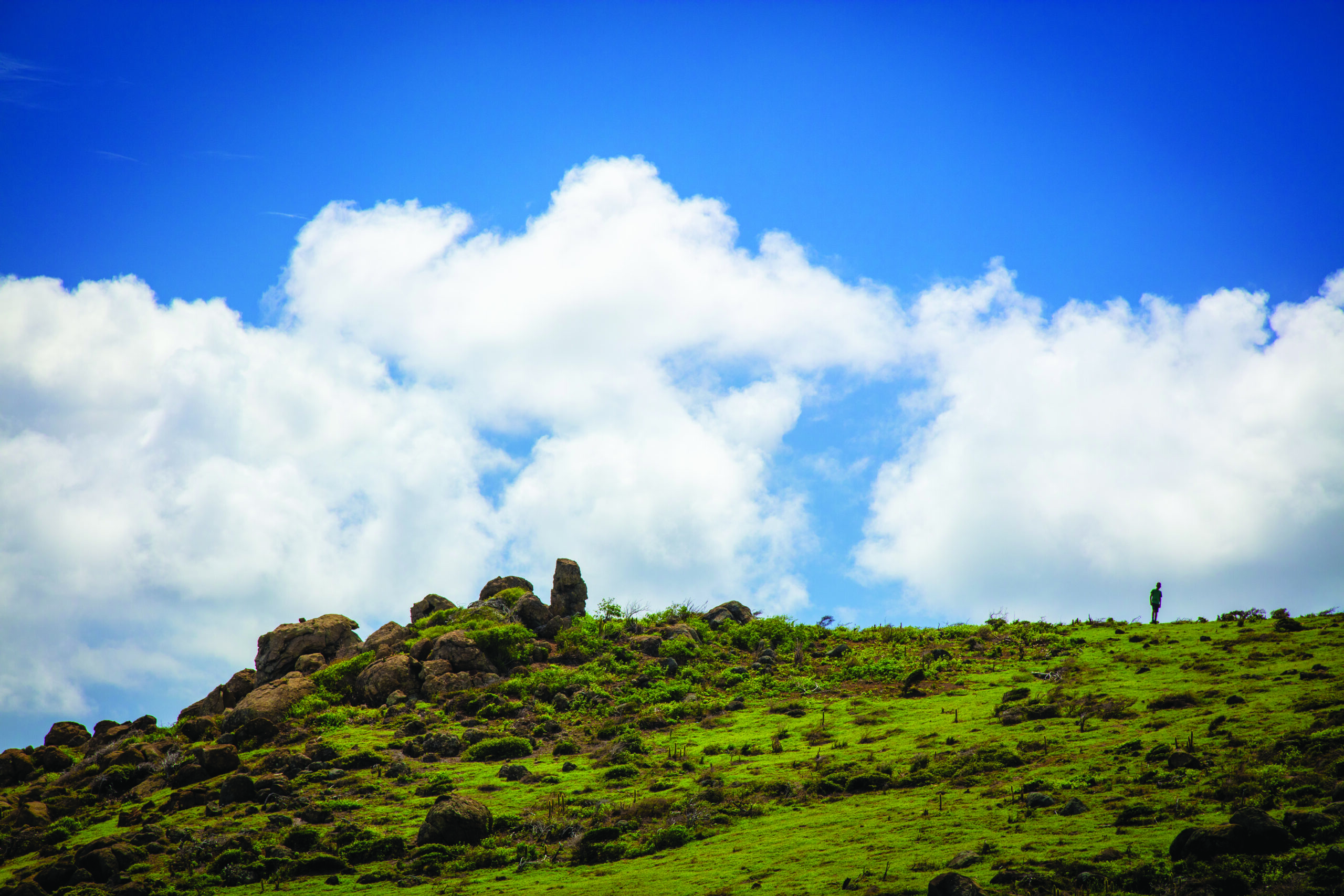 Hiking on St. Maarten surrounded by lush greenery