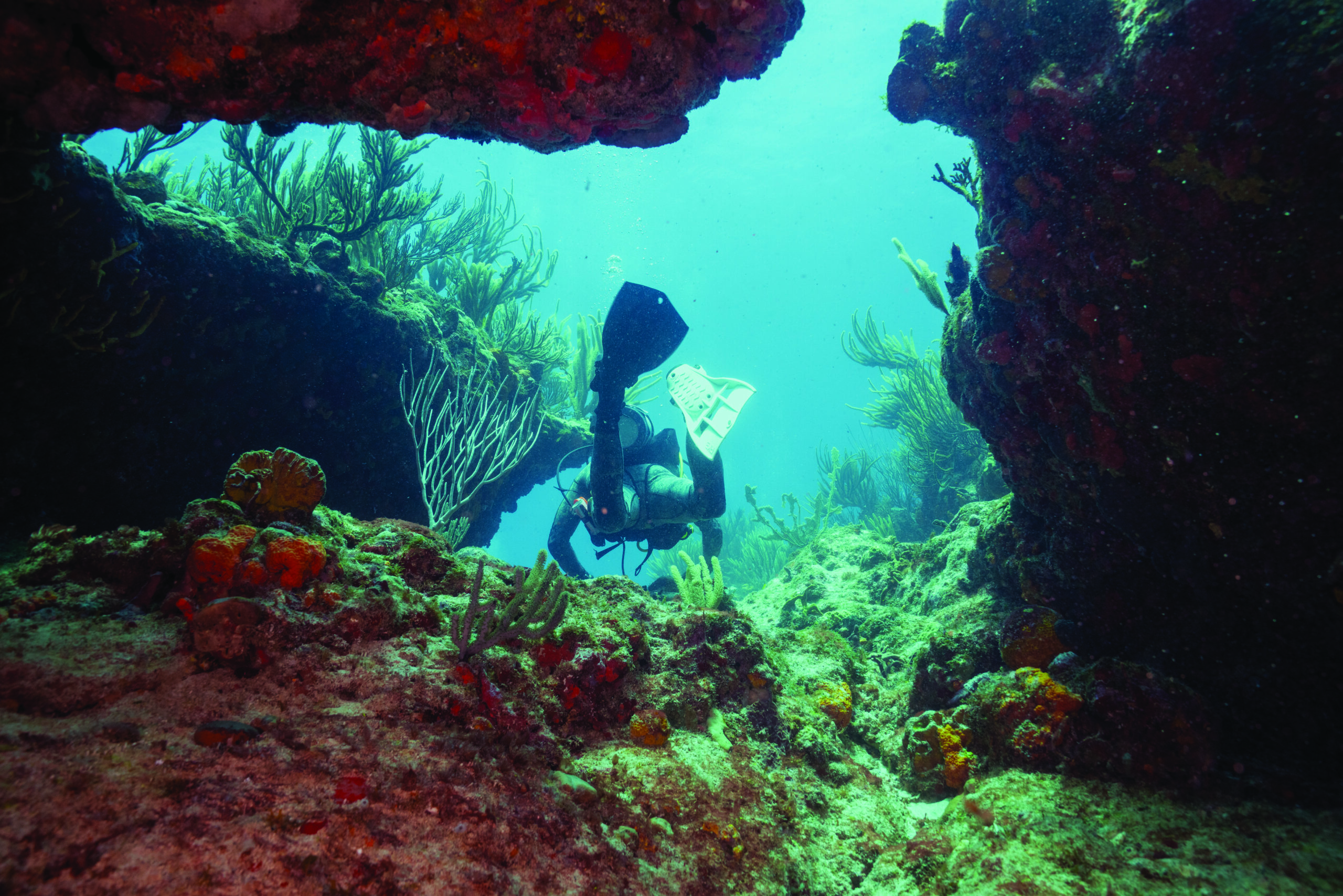 Dive Sint Maarten, Activities on the water
