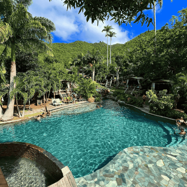 View over pool Loterie Farm in between of lush trees