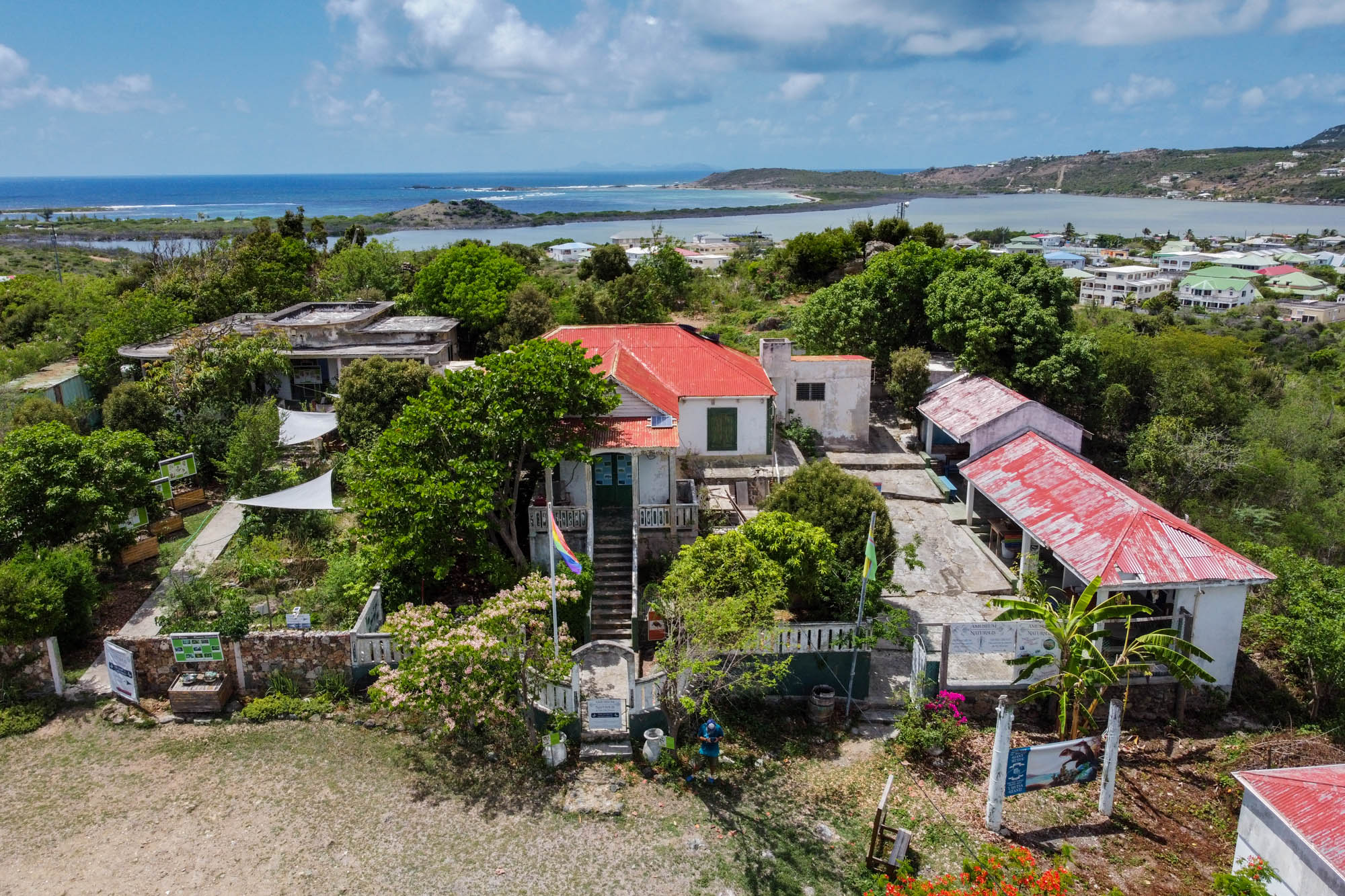 Amuseum Naturalis, St Maarten, St Martin, Les Fruits de Mer, Dutch Caribbean