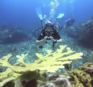 St Maarten best snorkeling, Diving on St Maarten, Two tank dive