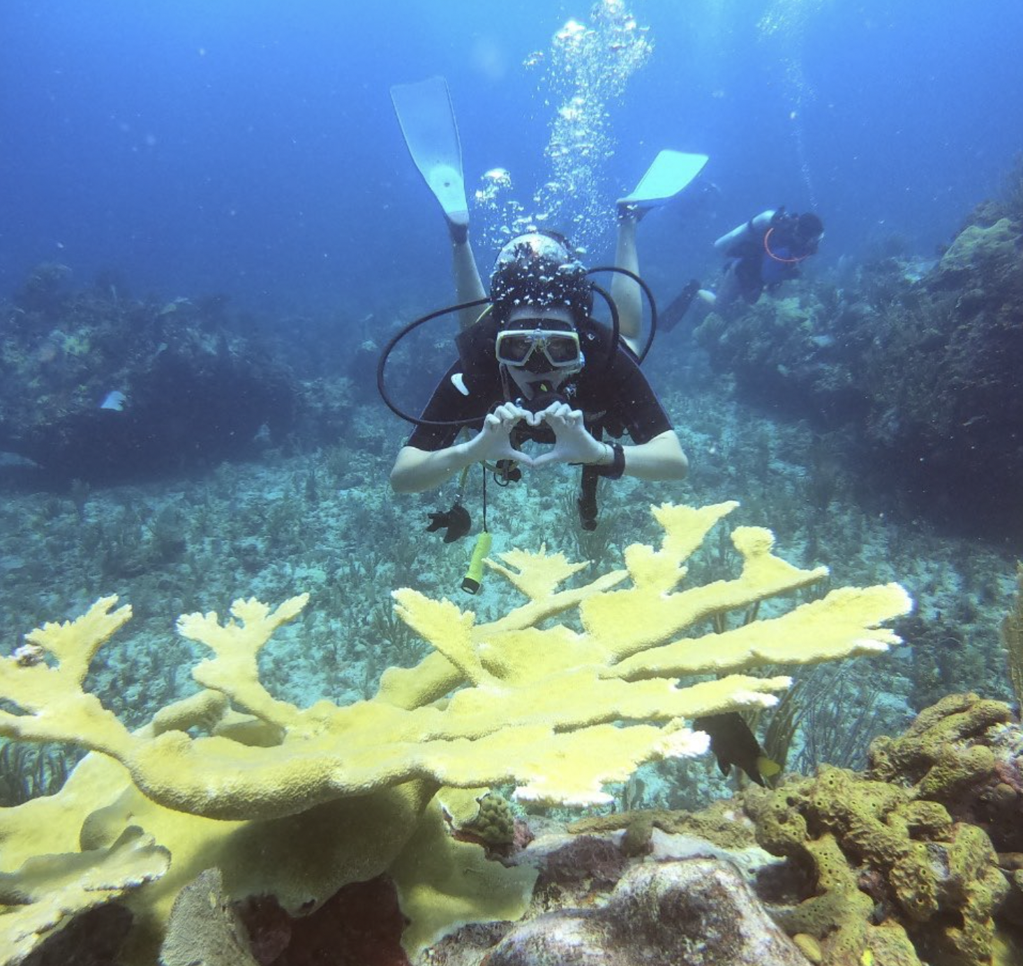 St Maarten best snorkeling, Diving on St Maarten, Two tank dive