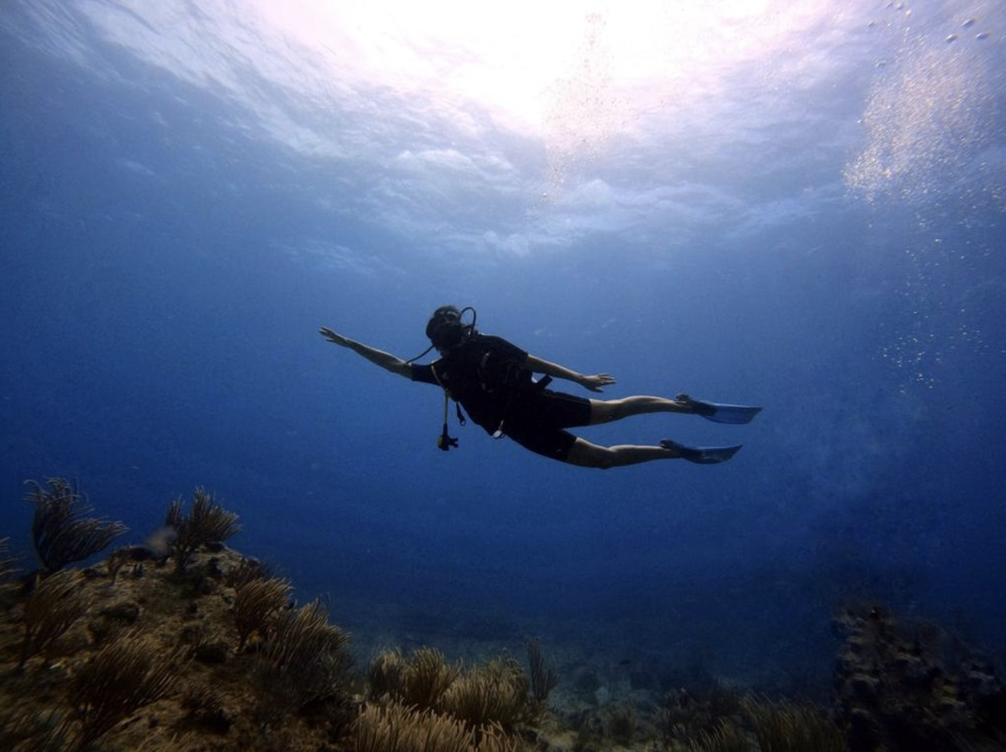 Sint Maarten duiken, what to do on Sint Maarten, Dive Sint Maarten