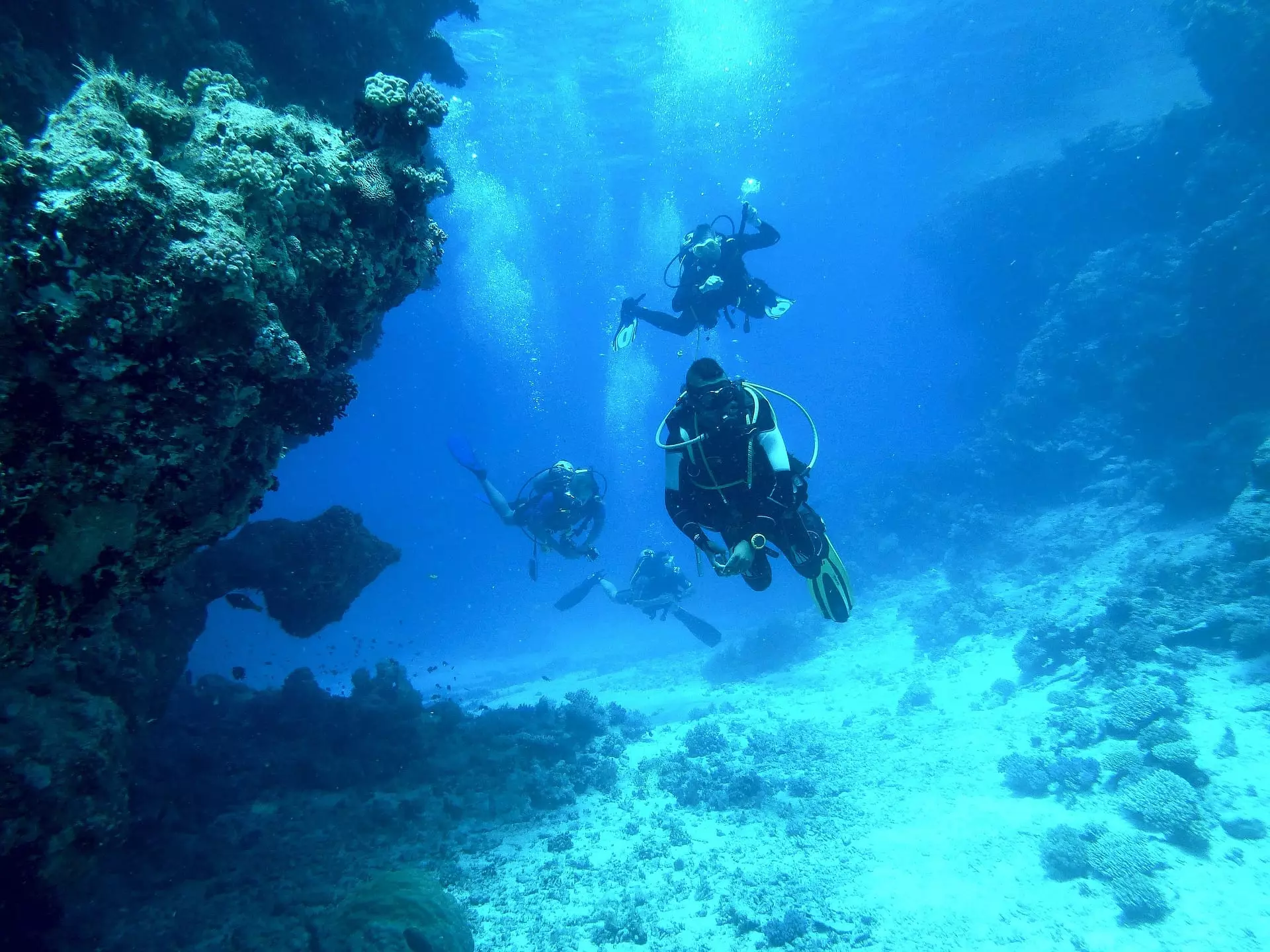 Diving on St Maarten, Dive St Maarten, Bobby's Marina, Philipsburg