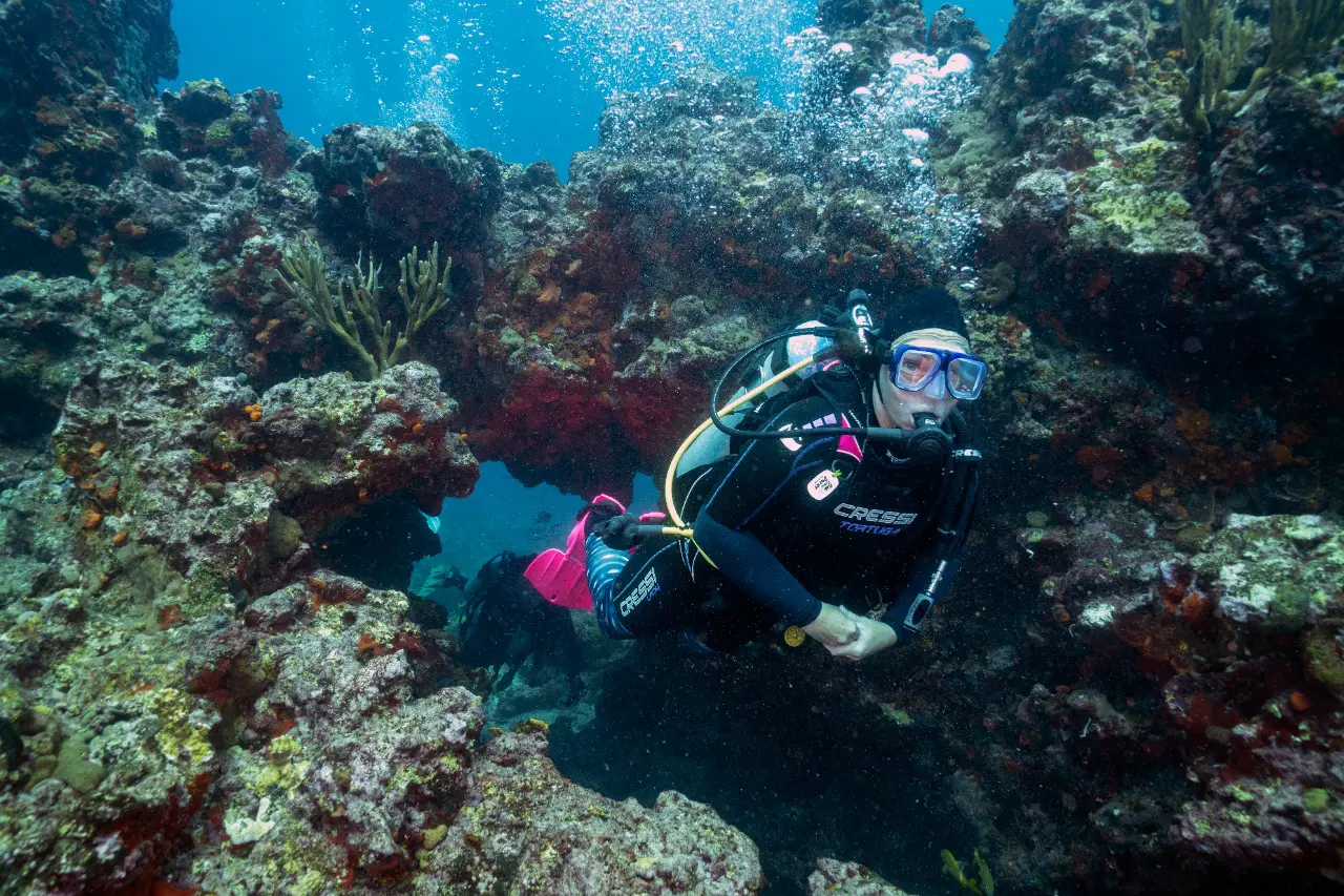 Diving on St Maarten, Things to do on St Maarten, Activities on St Maarten, Diving PADI