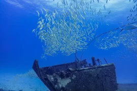 Dive St Maarten, Wreck Diving SXM