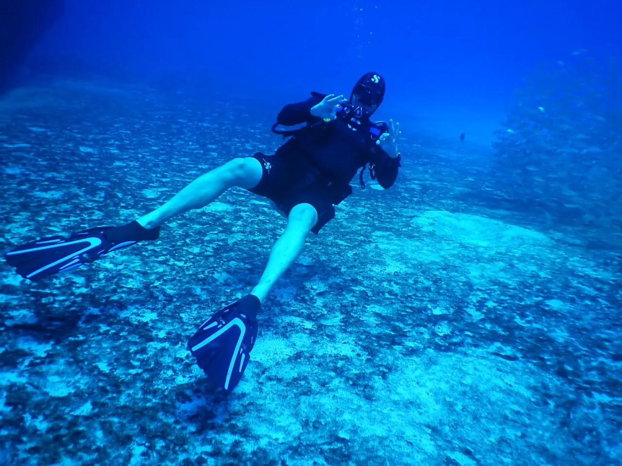 Diving on St Maarten, Simpson Bay, Philipsburg