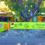 Ital Shack restaurant surrounded by trees