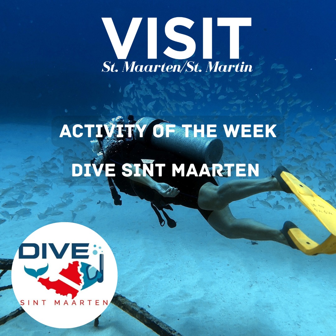 Dive Sint Maarten located in bobby marina for activity of the week