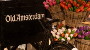 Amsterdam Cheese & Liquor Store