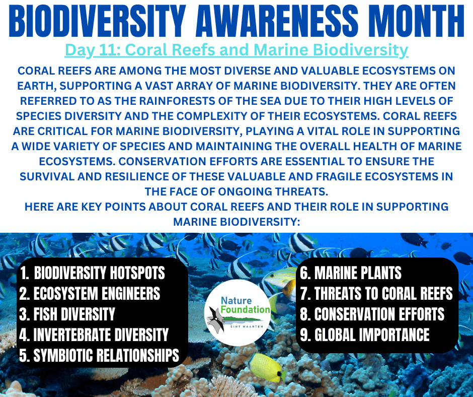 Coral and marine biodiversity