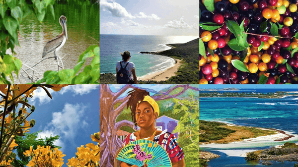 Collage of nature and culture pictures Seagrape tours