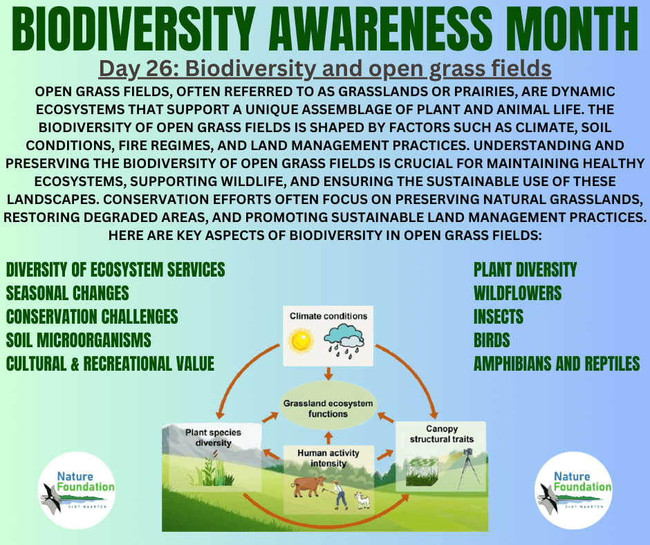 Biodiversity and open grass fields