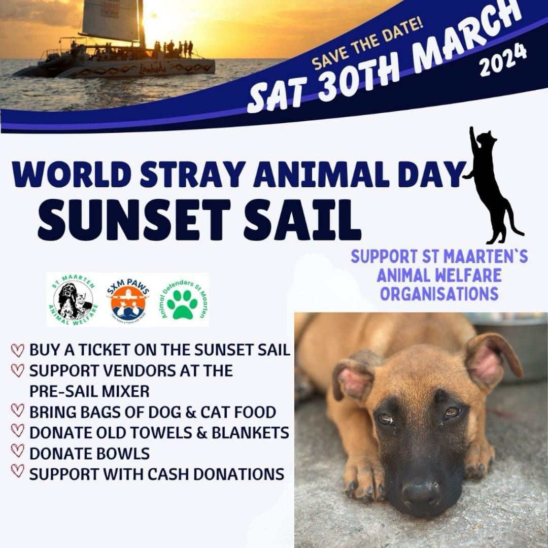 World Stray Animal day