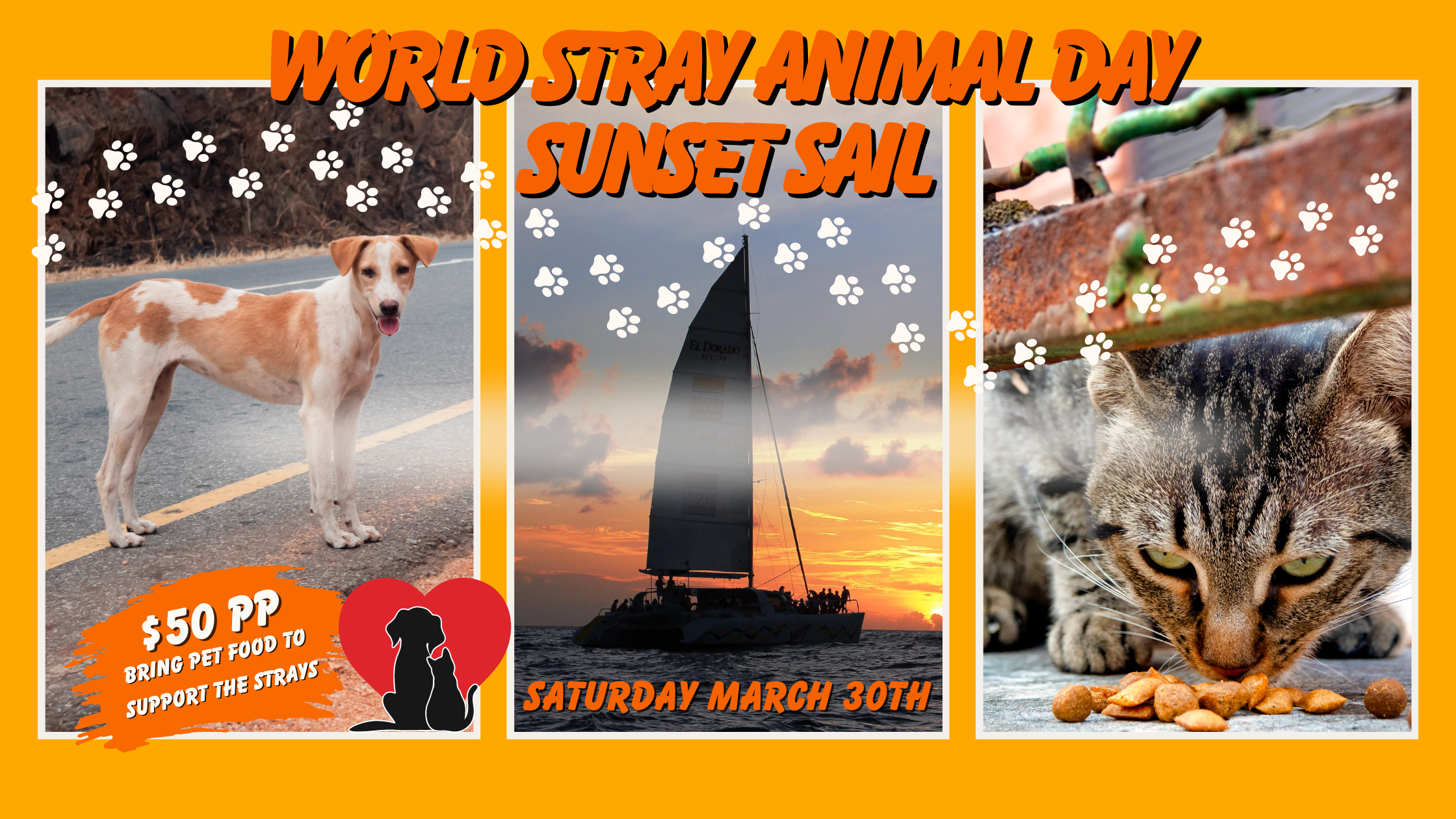 World stray animal day