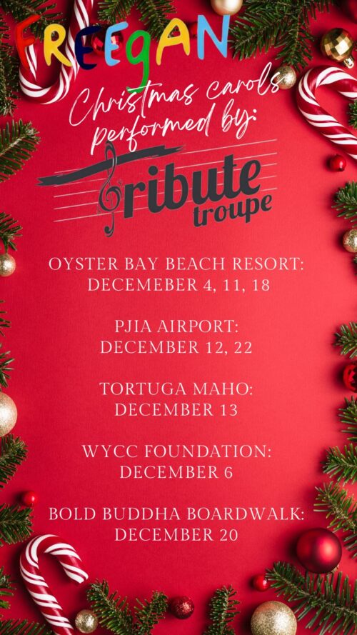 Poster from Freegan for the Christmas Tribute