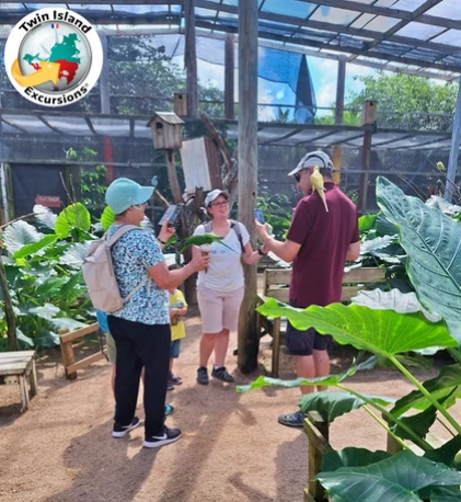 Twin Island Nature Discovery Tour
