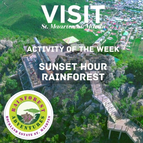 Activity sunset hour rainforest