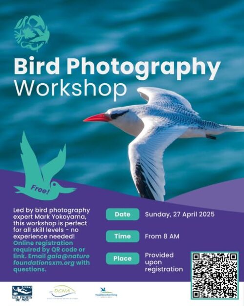 announcement workshop bird photogtaphy with nature foundation