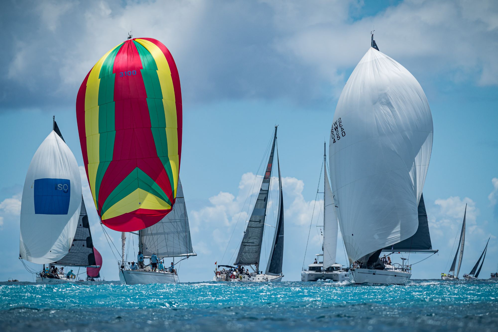 boats on the water for the heineken regatta