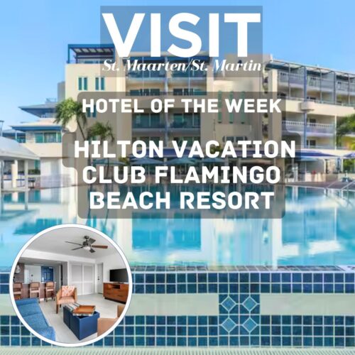 announcement hotel of the week: hilton vacation club flamingo beach resort