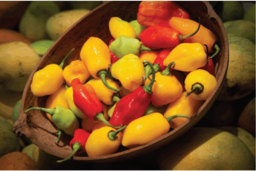 bowl of locally grown peppers