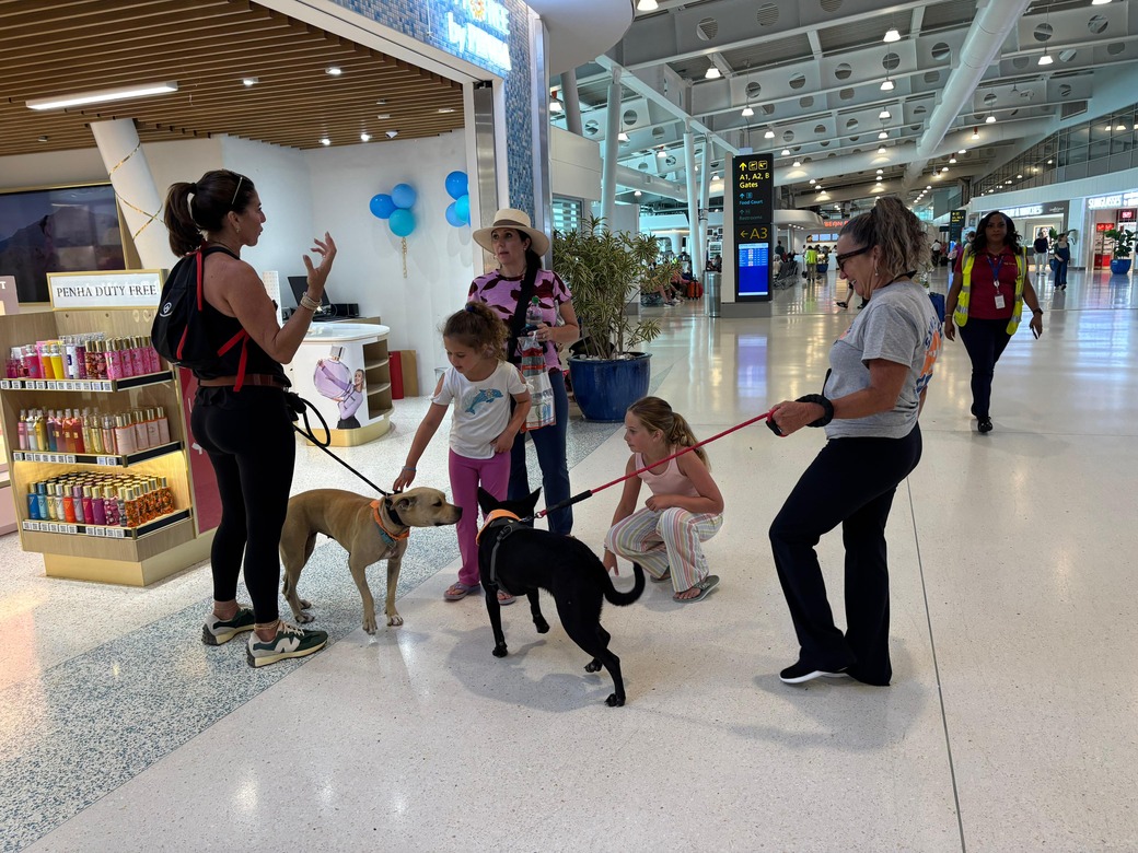 SXM Paws walking dogs at PJIA