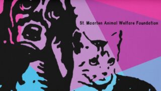 Painting of a cat and a dog for the St Maarten Animal Welfare Foundation