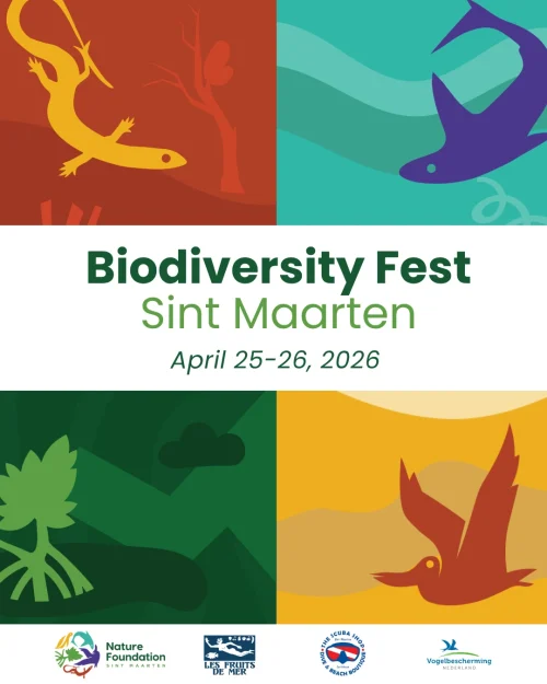 Poster of St Maarten Biodiversity Fest 2026 by the Nature Foundation