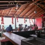 dutch blonde beach bar photos with seaview