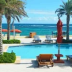 Aquamarine blue sea with palm tree and pool bar in foreground at Dawn Beach Club st Maarten