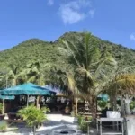 Grumpy's Bar at Dock Sint Maarten surrounded with palm trees 