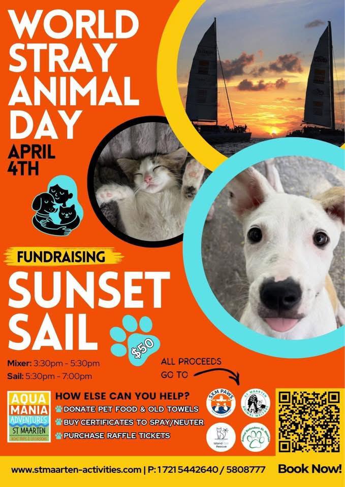 Poster for Aqua Mania Sunset Sail fundraising for World Stray Animal Day