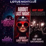 Lotus Summer Nights poster
