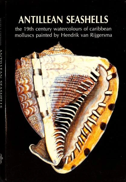 Hendrik van Rijgersma Blog Picture