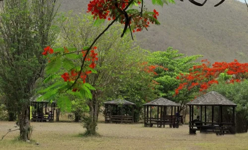 flowers and gazebo in emilio wilson park